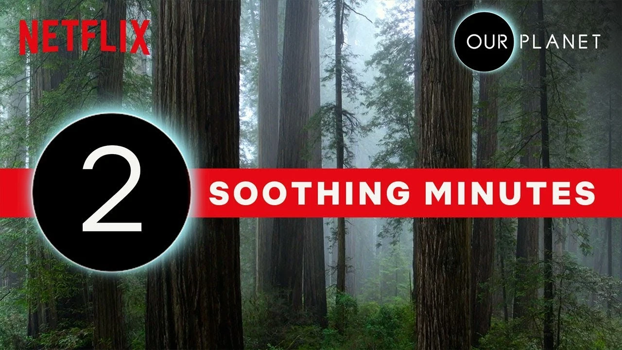 Our Planet | 2 Minutes of Soothing Scenery | Netflix